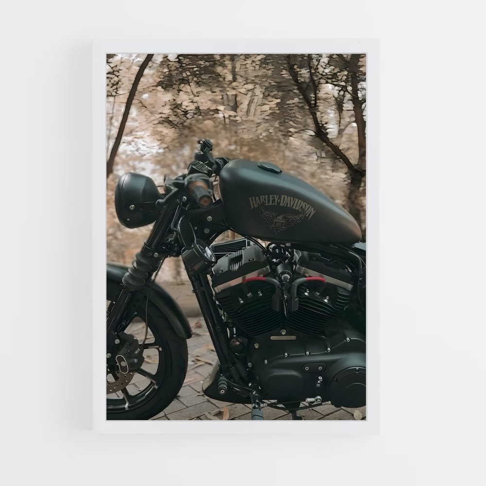 Poster Asphalt Rider – affiche Harley-Davidson (vue 3)